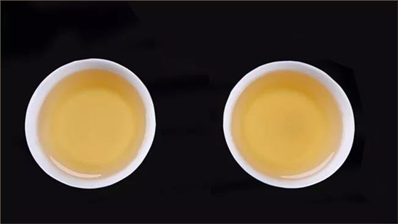 中吉青普洱茶