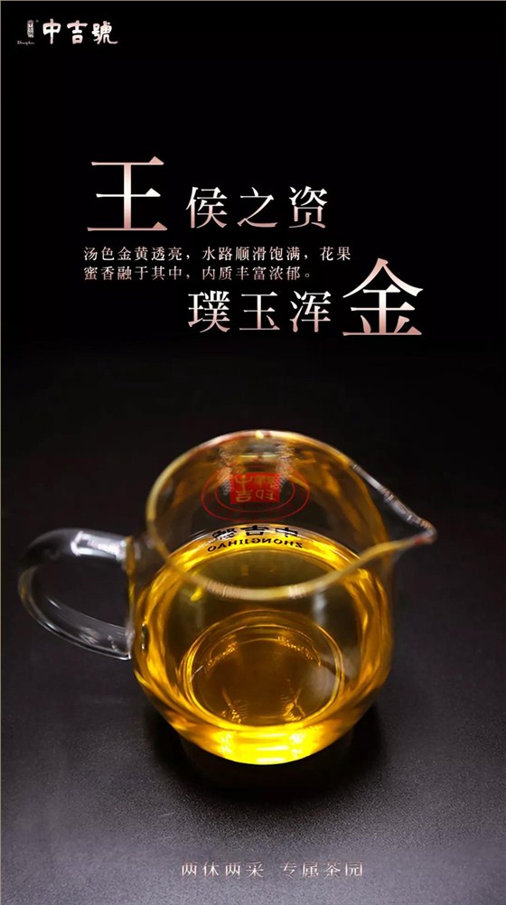 班盆普洱茶价格