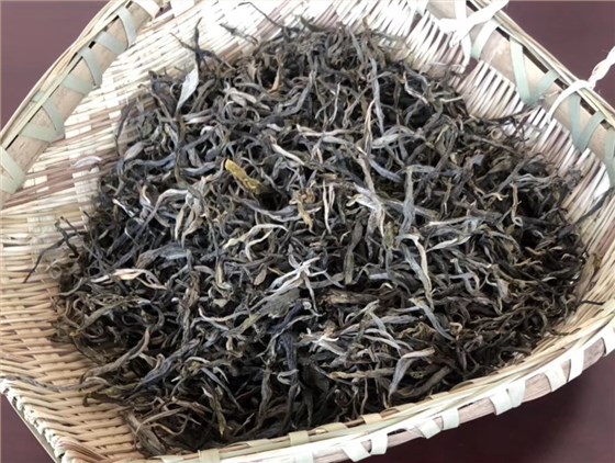 云南普洱茶品质