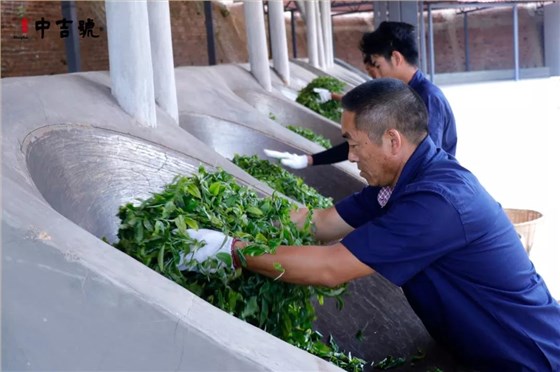 中吉号老班章普洱茶