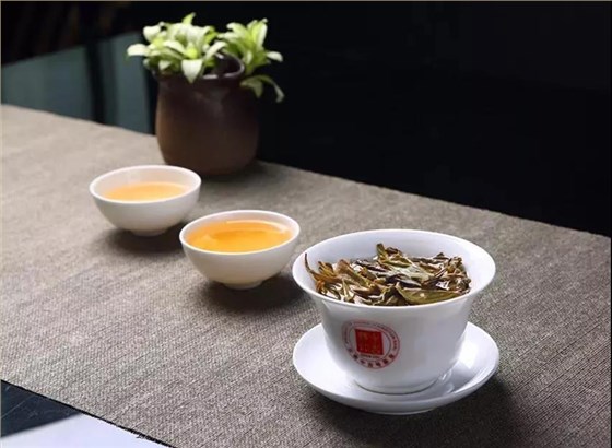 2019春季广州茶博会