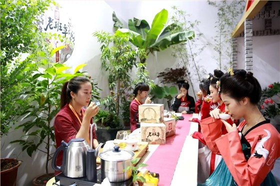 中吉号广州茶博会