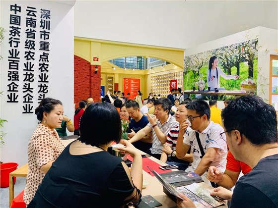 中吉号深圳茶博会