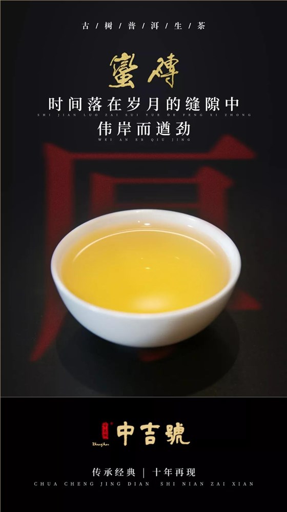 中吉号云南普洱茶
