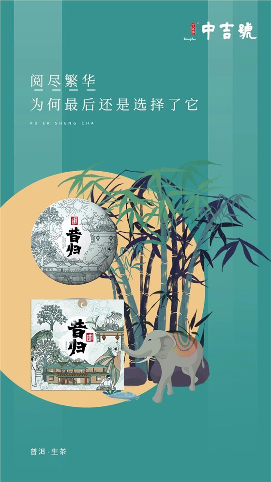 中吉号昔归古树茶