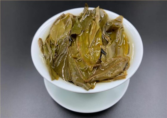 中吉号普洱茶