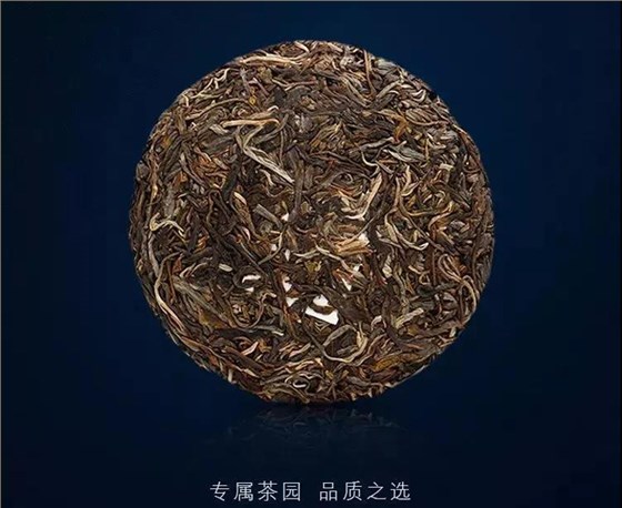 云南普洱茶