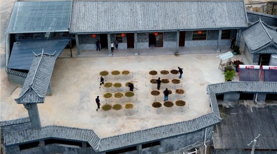 微信图片_20210830100324 微信图片_20210830100324