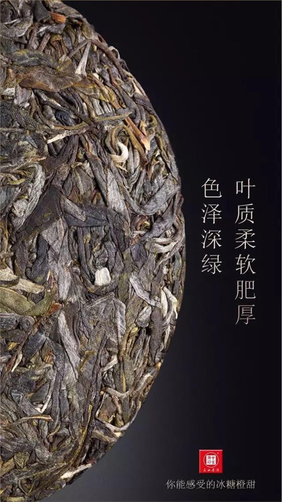 中吉号古树茶