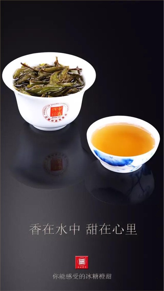 中吉号古树茶