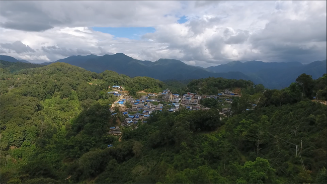 古树普洱茶