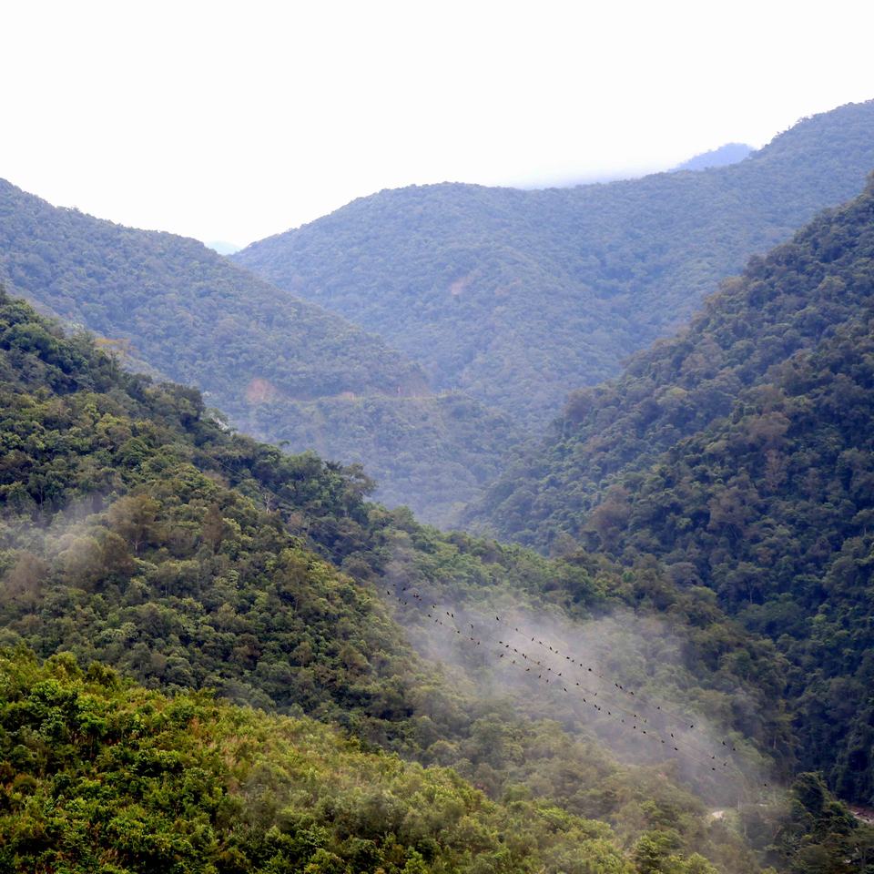 茶圣陆羽