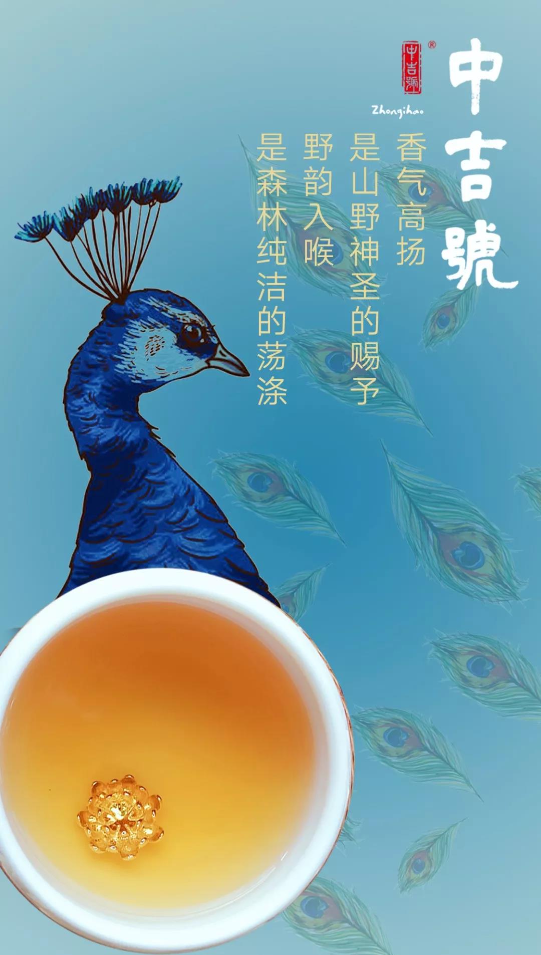 蓝印孔雀普洱茶