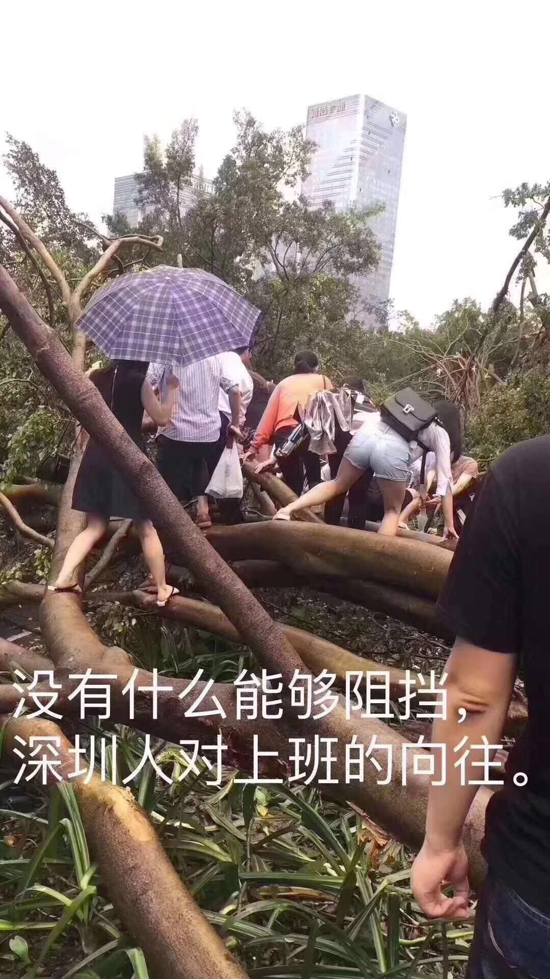 深圳台风