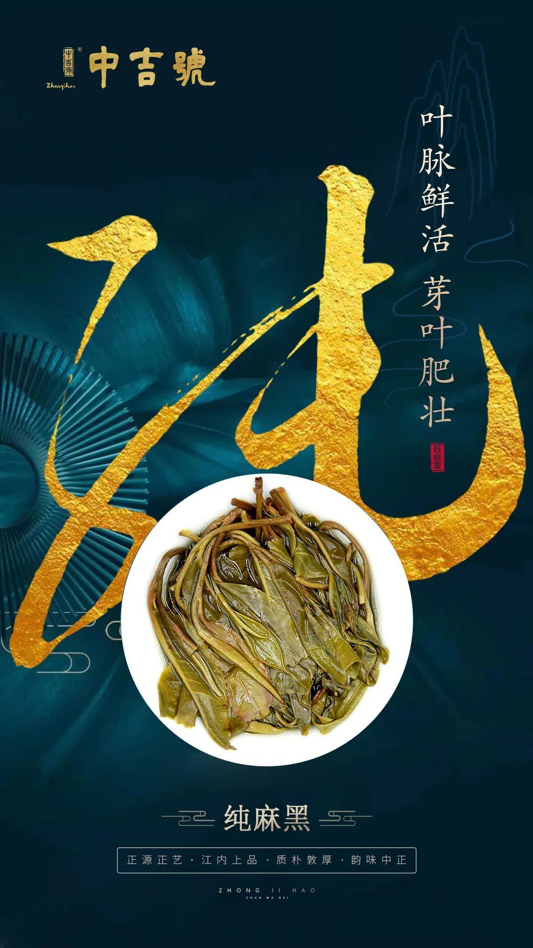 中吉号纯麻黑普洱茶