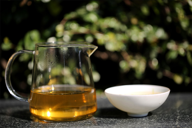 中吉号茶堂：什么季节采摘的云南普洱茶品质最好？