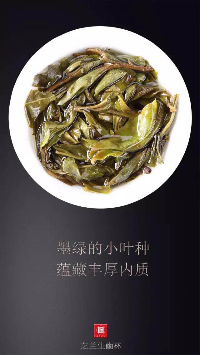 中吉号昔归普洱茶