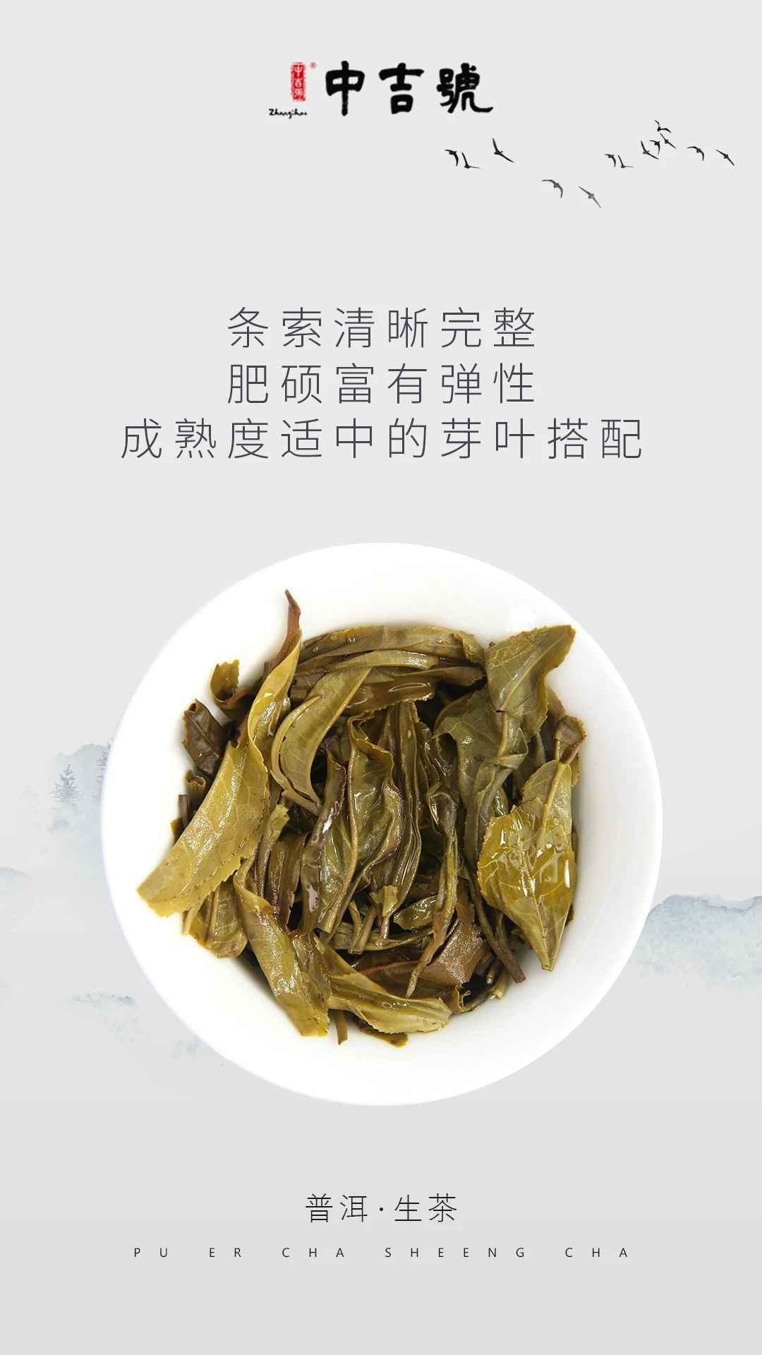 中吉号普洱茶