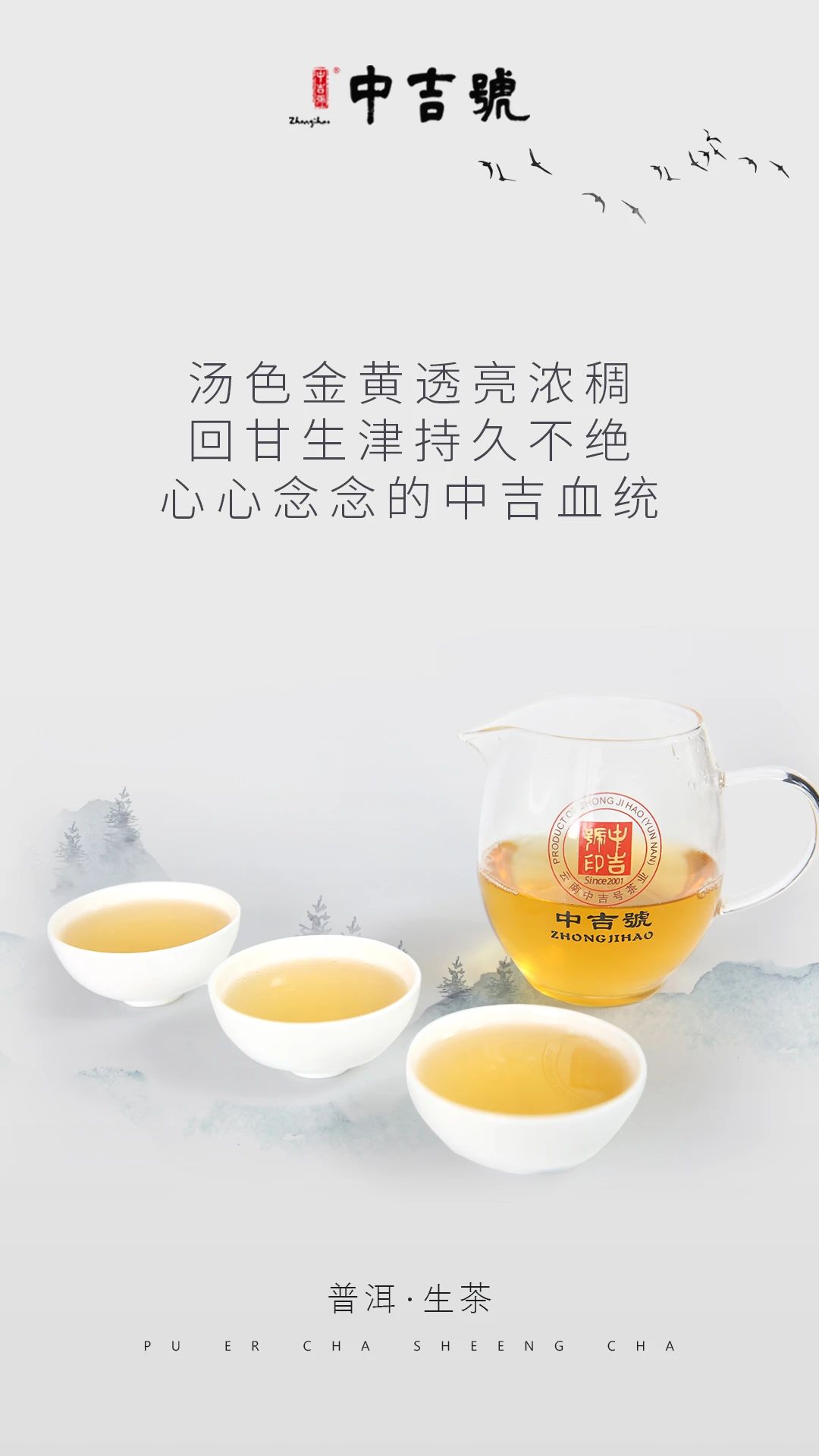 中吉号普洱茶