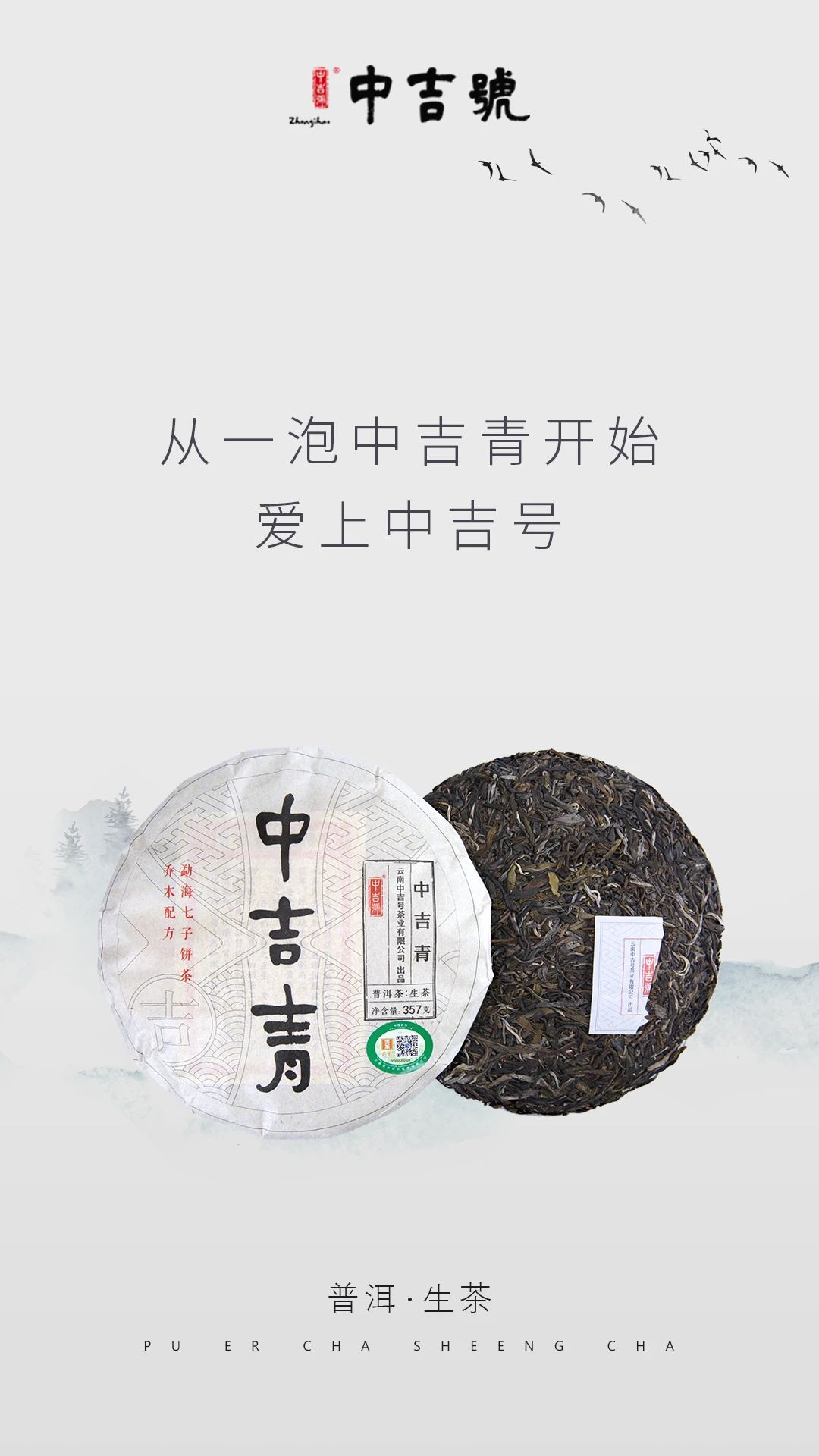 中吉号普洱茶